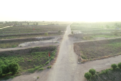 DJI_0001-94