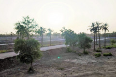 IMG_20220604_183941