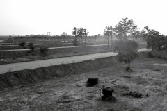 IMG_20220604_195015